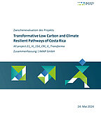 Cover Publikation 'Mid-Term Evaluation Transformative Low Carbon' Deutsch