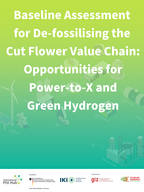 Cover "From Fertiliser to Freight: How Kenya’s Flowers Can Go Carbon-Neutral"