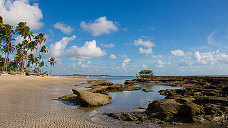 Coral reef in Brazil