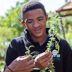 Thumb "South Africa: Conserving Nature and Heritage for Livelihoods"