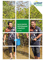 Cover der Publikation "Facilitator Programme Strategy" 