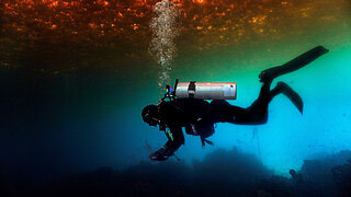 A diver exploring an underwater reef that has darkened under massive waves of sargassum.