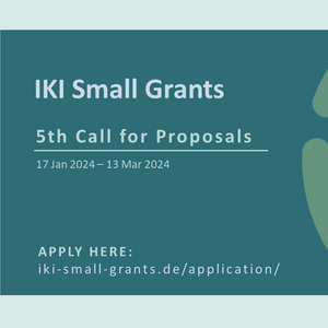 Aufrufrunde Fünf zur Bewerbung um IKI-Small-Grantst