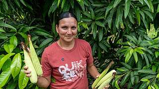 Person wearing a red T-Shirt holding several ears of corn in front of green foliage