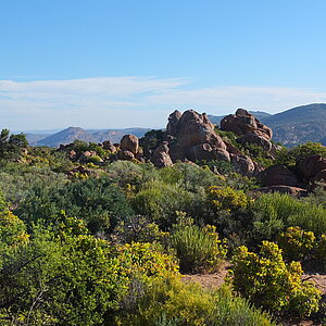 Eine malerische Landschaft mit grünen Büschen, gelben Blumen und großen Felsen unter einem klaren blauen Himmel.