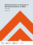 Cover Publikation "Overview of non-CO2 Emissions in NDCs"