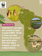 Publikation "World Wildlife Day" Cover