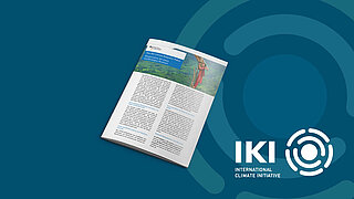 Cover IKI-Factsheet IKI-Corona-Response-Paket