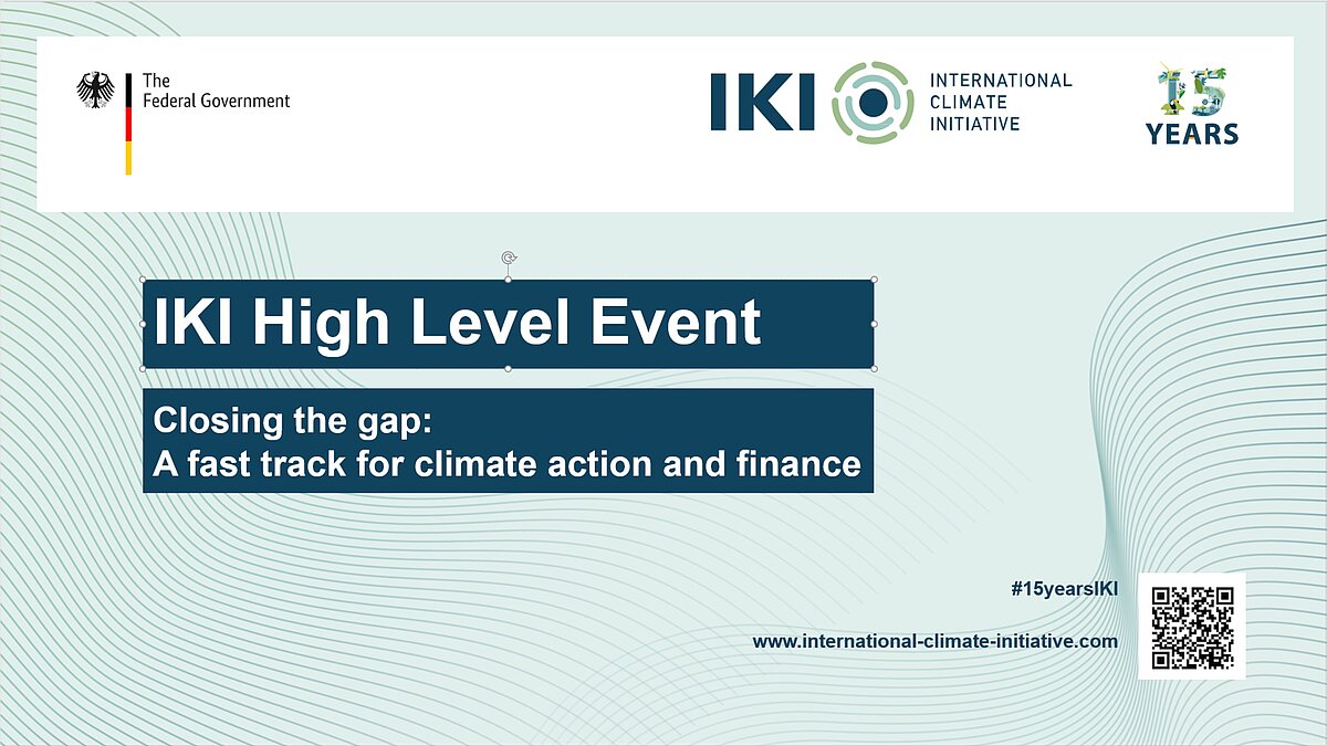 IKI High Level Event: Closing the gap: A fast track for climate action ...