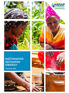 Cover of the publication "Matchmaking Strategy" 