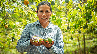 Woman in a patterned shirt holding a passion fruit and an avocado in a garden with many passion fruit plants