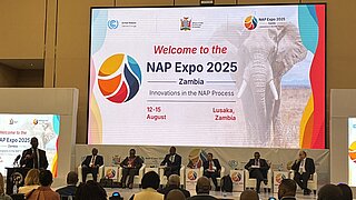 Podiumsdiskussion bei der NAP Expo 2025 in Lusaka, Sambia, mit sechs Redner*innen auf der Bühne und einer großen Leinwand im Hintergrund, die das Veranstaltungsthema zeigt.