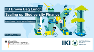 Thumb "IKI BBL Recording: Scaling up biodiversity finance"