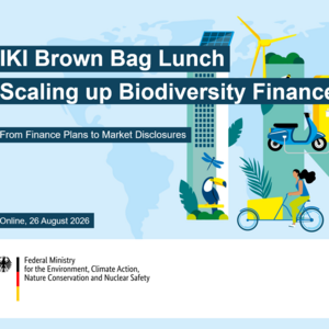 Thumb "IKI BBL Recording: Scaling up biodiversity finance"