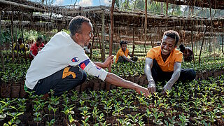 Caring for seedlings in a tree nursery in Ethiopia. 