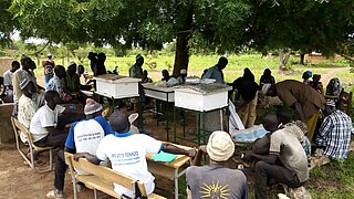 Group of people sitting and standing under a tree around several beehives on tables