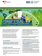 Cover Factsheet Safeguards in der IKI