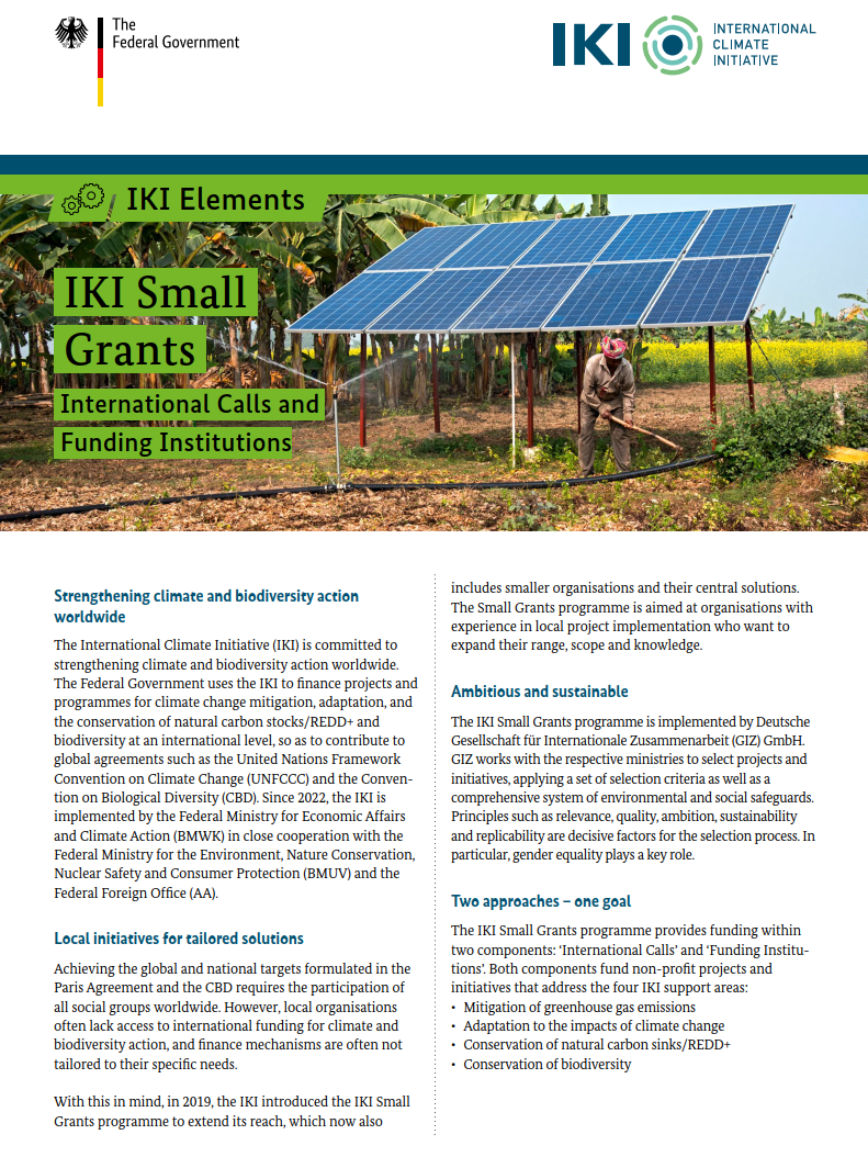 IKI Small Grants Internationale Calls und Förderinstitutionen