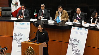 A female speaker is explaining a topic at the microphone, while several people are seated at the table listening.
