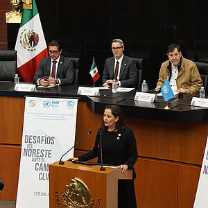 A female speaker is explaining a topic at the microphone, while several people are seated at the table listening.