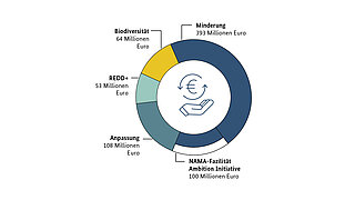 Grafik IKI-Fördervolumen 2020 nach Förderbereichen