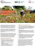 Cover Nature-positive Recovery
