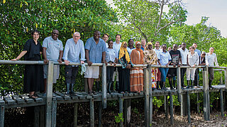 A group is standing in a row on a jetty, looking at the camera; mangroves can be seen in the background.