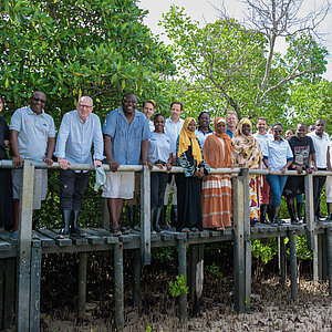 A group is standing in a row on a jetty, looking at the camera; mangroves can be seen in the background.