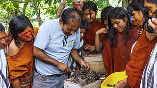 Thumbnail "Importancia de los conocimientos tradicionales de las abejas sin aguijón"