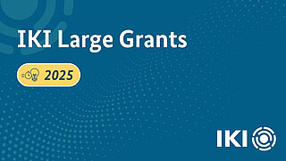 Blauer Hintergrund mit einem hellblauen Punktemuster. In großer Schrift ist der Text „IKI Large Grants“ zu sehen. Dazu befindet sich ein gelbes Banner darunter mit der Bezeichnung „2025“ und einem entsprechenden Icon.