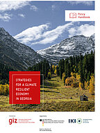 Cover Policy Handbook