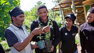 A group of people gathered, you can see a small potted plant.