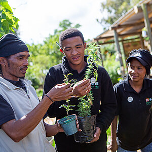 A group of people gathered, you can see a small potted plant.