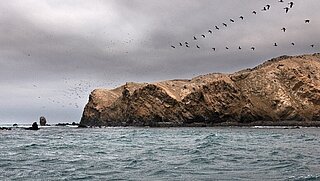 Sea off a rocky coast