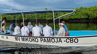 A group on a boat, with a blue sky, the sea and mangroves in the background
