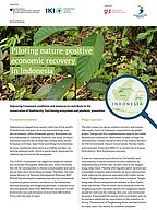 Cover Piloting nature-positive economic recovery in Indonesia