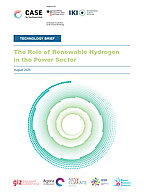 Cover Publication "The Role of Renewable Hydrogen in the Power Sector" 