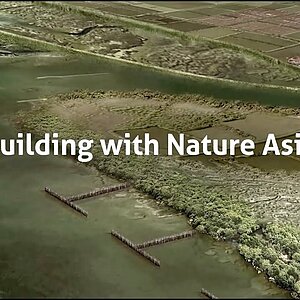Thumbnail Video Accelerating adaptation through Building with Nature in Asiat