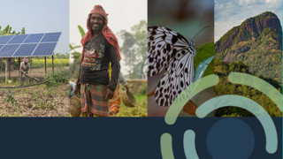 Collage of images with solar panels, an indigenous person, a butterfly and a mountain landscape