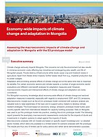 Cover Economy-wide Impacts of Climate Change and Adaptation in Mongolia