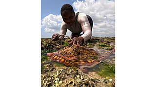 A female diver is trying to catch an octopus at the seashore.