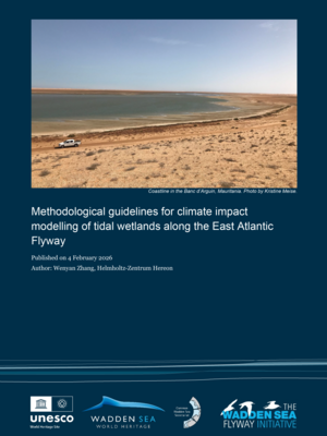 Cover "Methodological guidelines for climate impact modelling of tidal wetlands along the East Atlantic Flyway"
