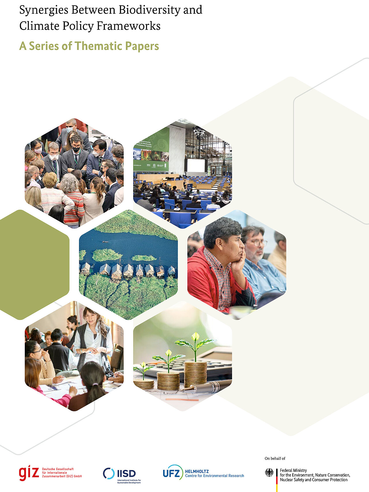 Synergies Between Biodiversity and Climate Policy Frameworks ...