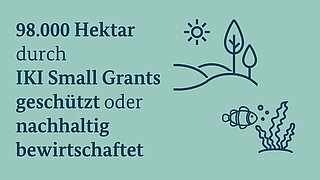 Eine Infografik zeigt, dass 98.000 Hektar durch IKI Small Grants geschützt oder nachhaltig bewirtschaftet werden.