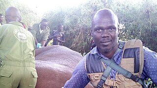 Man wearing vest kneels beside a lying elephant while other people in green clothing attend to the elephant in the background