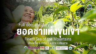 Thumb "The Finest Tea of the Mountains"