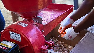 Ein Experte trägt weiße Handschuhe und zerkleinert vorbearbeitete Krabbenschalen mit einer roten Maschine namens 'Powder Crusher'.
