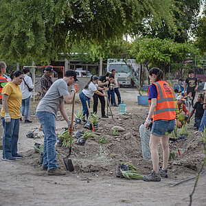 A group of people is planting trees and plants in a garden. Some are wearing orange safety vests, while others are working with shovels.