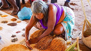 Indigenous woman kneeling, sorting seeds. 