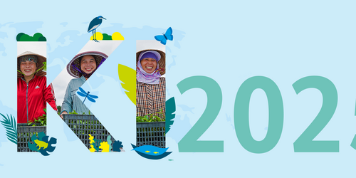 Vier Personen mit Hüten stehen hinter den Buchstaben "IKI" und der Zahl "2025", umgeben von grafischen Elementen wie Pflanzen, einem Solarpanel, einem Vogel und einem Schmetterling